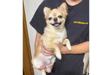 「そんな変わる？ww」　弟と母の抱っこで態度を変えたいぬ　まさかの光景に爆笑
