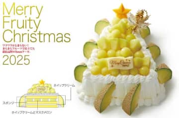 新宿高野の華やかなクリスマスケーキ♡2025限定ラインナップ