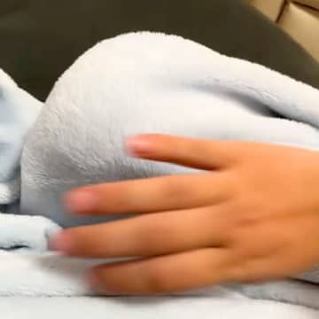 赤ちゃんのおしゃぶりを犬が強奪→毛布の中をめくってみた結果…全く予想できなかった『まさかの光景』が59万再生「想像の数倍可愛いｗ」と絶賛
