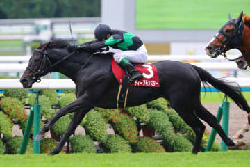 【京都大賞典】7歳馬ディープモンスターが混戦を断つ