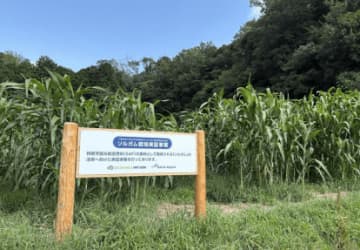 成田空港、名古屋大学などと連携し地元産原料でSAF製造へ