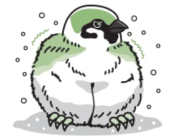 実に鳥類の半分がスズメの仲間！？ 鳥類最大グループ「スズメ目」【眠れなくなるほど面白い 図解 鳥の話】