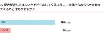 「犬が自らおもちゃを持ってくる」のはなぜ？行動の心理を獣医師が解説