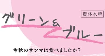 今秋のサンマは食べましたか？　佐々木ひろこ フードジャーナリスト　連載「グリーン＆ブルー」