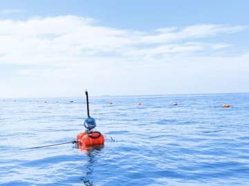 海が「デジタル化」した未来はどうなる？「廉価な水中ドローン」「魚の健康診断」「週休2日」の先に目指すものとは？　限定300食の「さかなカレー」はIT技術＋水産の成果、CEATECの昼食に？