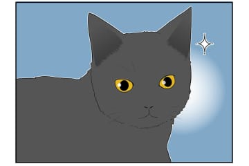 【マンガ・老猫日誌＃26】水をもっと飲ませる方法、桃姐の場合。18歳の元保護猫