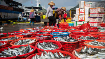 2024年の国民一人当たりの海洋水産物占有量は26キロ超＝中国