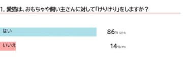 かまってほしいサイン？　猫が「けりけり」する心理を獣医師が解説