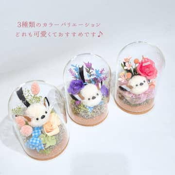 Xで話題沸騰のシマエナガシリーズに新色登場！プリザーブドフラワーの新しいギフトを数量限定で販売開始　3種のシマエナガが彩るキュートなギフトシリーズが登場♪並行してSNSキャンペーンを実施！
