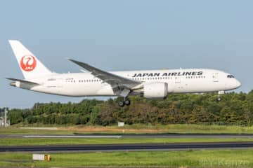 エア・インディア羽田移管から半年... JAL、成田〜デリー線を開設！ 毎日1便運航