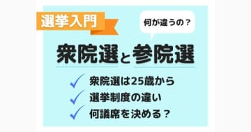 衆院選と参院選の違いとは？簡単解説【衆院選】