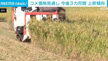 コメの価格見通し 今後3カ月間 上昇傾向