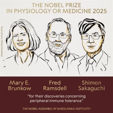 ノーベル生理学・医学賞に大阪大学の坂口志文特任教授とアメリカの研究者2人