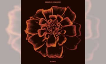 スージー・アンド・ザ・バンシーズ、2022年の『All Souls』限定盤CDが10月31日に発売