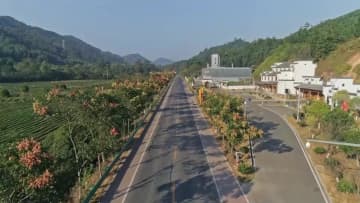 秋色に染まる「中国で最も美しい農村」　江西省婺源県