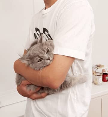高橋克典、愛猫ミルリィ抱っこショット「たまらん～～」