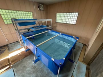廃止した水道施設を活用した陸上養殖の実証事業を開始します！　―県庁版社内ベンチャー制度実証事業―