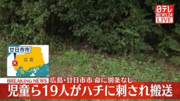 児童ら19人がハチに刺され搬送、命に別条なし　広島・廿日市市