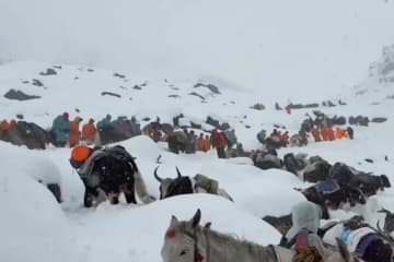 猛吹雪のためエベレストで立ち往生、脱出するため調理鍋で雪かき　登山者が当時を振り返る