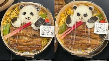 「同じ商品なのに、どうした？」　可愛い「パンダ弁当」の〝個体差〟に8.9万人驚がく