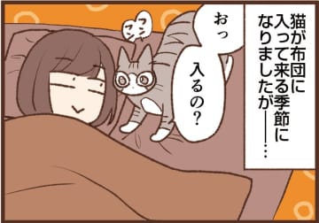 【吉川さん家の猫事情】#113話 この季節がやってきた～♪