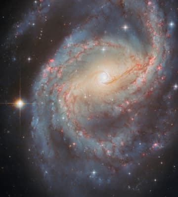 輝くスターバースト・リング　ハッブル宇宙望遠鏡が観測した渦巻銀河「NGC 6951」