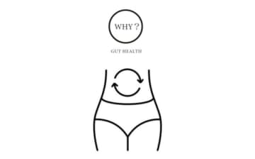 なぜ私には効果が出ない？「真似の腸活」が効きにくい理由