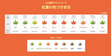 立山黒部アルペンルートの紅葉、タンボ平で見頃に