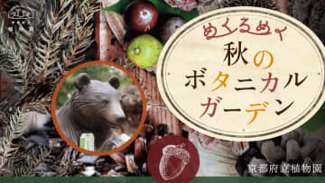 きのこ展や紅葉ライトアップなど、植物園の多種多彩な秋を楽しむ『めくるめく秋のボタニカルガーデン』を開催　10月25日(土)～12月7日(日)