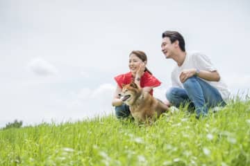 ペットの“もしも”に備える、保険・貯蓄・最期の選択、後悔しない準備の方法