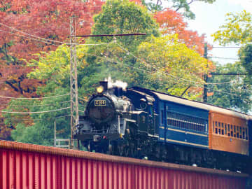大井川鐵道の「黒いSL」C10形8号機、11月21日に営業運転を再開