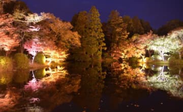 三井不動産、京都府立植物園でアートイベント「LIGHT CYCLES KYOTO」
