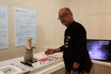 ニホンカワウソはどこへ行った、国は「絶滅」でも愛媛ではいちるの望み　「どこかで生き残っていて」関係者の祈りは届くのか