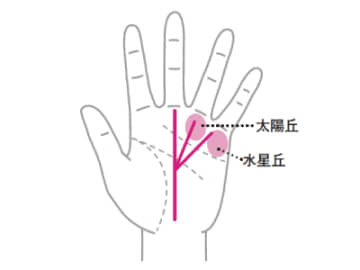 一代で巨万の富を得る可能性を持つ『三奇紋』とは！？【手相の教科書】