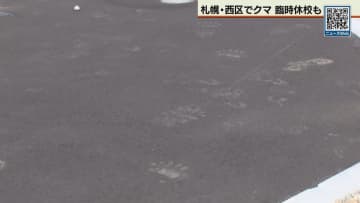 札幌・西区の住宅街でクマ目撃　小中学校が臨時休校に