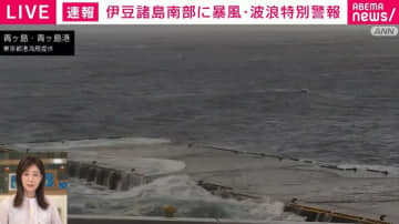 台風22号 伊豆諸島に暴風・波浪特別警報