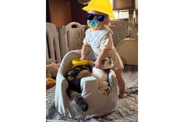 「ねことふたりして入らないでほしい」　1歳の息子がまさかの行動　母親が見た光景にほっこり　「この時期にしか入れない場所がある」