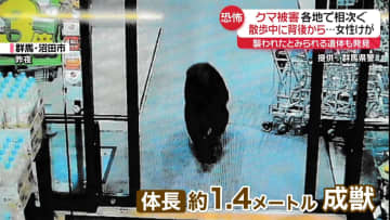 背後からクマに襲われ秋田の女性ケガ　岩手では襲われたとみられる遺体発見…クマ被害、各地で相次ぐ