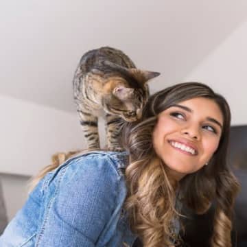猫が憧れる『理想の生活』とは？欠かせない7つの条件と環境作りのコツ