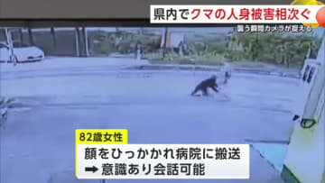襲われる瞬間が防犯カメラに…大仙市の82歳女性、散歩中にクマに襲われけが　大館市でも50歳男性が襲われる　秋田で人身被害相次ぐ