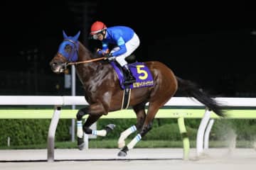 【ジャパンダートクラシック】戸崎「今後の走りにも期待」ナルカミが逃げ切って三冠阻止