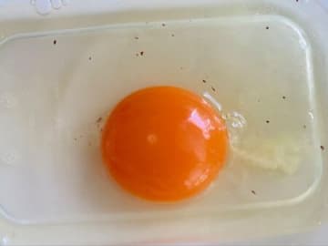 卵を割ると、何やらあやしい「てんてん」！これは…