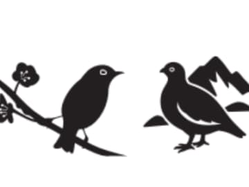 ハトやカラスなど…人間のそばに最も多い鳥「陸鳥」たちの生態とは【眠れなくなるほど面白い 図解 鳥の話】