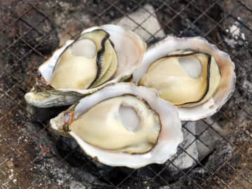 福井・小浜市と全国のご当地グルメが集結！ 10/18（土）・19（日）「第22回 OBAMA 食のまつり」