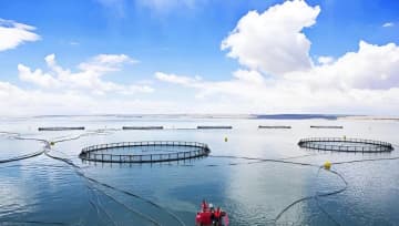 青海省の貿易成長率が全国トップに、高原の特産品が世界へ―中国