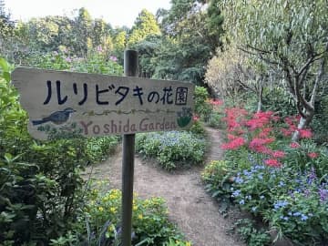 吉田ガーデンで秋のオープンガーデンが開催中！11月3日まで＠佐倉市