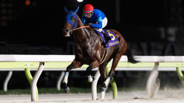 【ジャパンダートクラシック回顧】ナルカミが3馬身差で逃げ切り　戸崎圭太騎手「最後まで押し切れるのではないかと思いました」