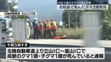 北陸道に死んだクマ2頭　付近では別の子グマも…注意呼びかけ