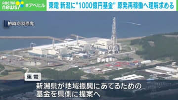 東電 新潟に“1000億円基金” 原発再稼働へ理解求める