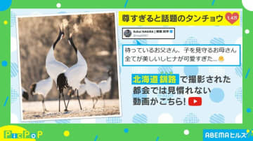 尊すぎる！タンチョウ家族の愛情あふれる光景が「お天気や景色も相まってなんか感動的」と反響